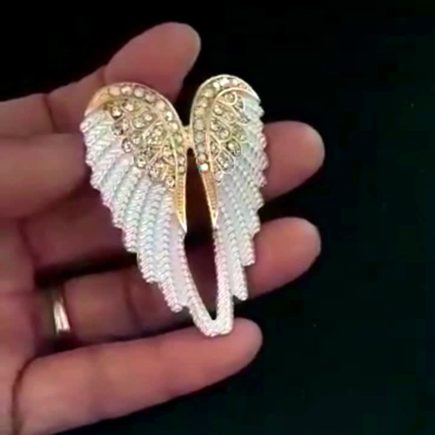 A Gift of Remembrance Multicolor Angel Wing Brooch Pin